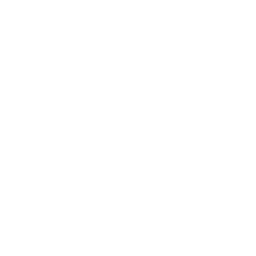 White mark — transparent background